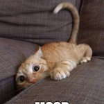 Mood | MOOD | image tagged in crazy cat | made w/ Imgflip meme maker