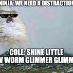 Cole Should Sing More | NINJA: WE NEED A DISTRACTION; COLE: SHINE LITTLE GLOW WORM GLIMMER GLIMMER!!! | image tagged in country cat,ninjago | made w/ Imgflip meme maker
