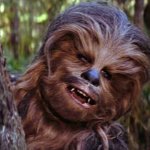 Chewy Hey, are you