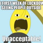 It was unacceptable | ME FIRST WEEK OF LOCKDOWN SEEING PEOPLE OUTSIDE | image tagged in unacceptable | made w/ Imgflip meme maker