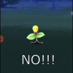 Hey everyone. I caught this Bellsprout but even though its not a shiny its  a different color. Do you know why this is ? : r/PixelmonMod