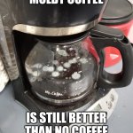 moldy coffee | MOLDY COFFEE; IS STILL BETTER THAN NO COFFEE | image tagged in moldy coffee,coffee,moldy,funny,meme,funny meme | made w/ Imgflip meme maker