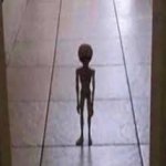The alien I stole from Area 51 telling me...