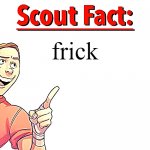 frick | frick | image tagged in scout fact | made w/ Imgflip meme maker