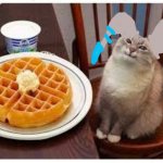 Waffle like his waffle | image tagged in cat smiling at waffle,waffle,catscratch,waffle catscratch | made w/ Imgflip meme maker