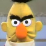 Angry Bert