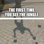 The Witness Juggler | THE FIRST TIME YOU SEE THE JUNGLE; THE ANSWERS ONLINE | image tagged in the witness juggler | made w/ Imgflip meme maker