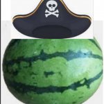 pirate_melon_