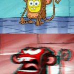 SpongeBob Monkey meme