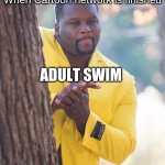 When someone | When Cartoon network is finished; ADULT SWIM | image tagged in when someone,adult swim | made w/ Imgflip meme maker