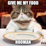 Hooman my food | GIVE ME MY FOOD; HOOMAN | image tagged in hungry cat | made w/ Imgflip meme maker