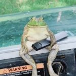 The vaping frog