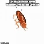 CocRoach Dance | COCROACHS WHEN YOURE 
TRAVELING TO ANOTHER COUNTRY | image tagged in gifs,funny memes | made w/ Imgflip video-to-gif maker