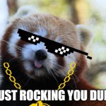 red panda | IM JUST ROCKING YOU DUFFUS | image tagged in red panda | made w/ Imgflip meme maker