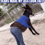 Does it? | HONEY, DO THESE JEANS MAKE MY ASS LOOK FAT? | image tagged in donkey,jeans,fat,ass,memes,funny | made w/ Imgflip meme maker