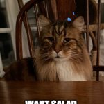 Henri Cat | WANT SALAD. NOW, KAREN! | image tagged in henri cat | made w/ Imgflip meme maker