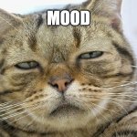 Mood | MOOD | image tagged in sleepy cat | made w/ Imgflip meme maker