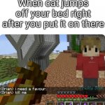 The pain. It hurts. | When cat jumps off your bed right after you put it on there | image tagged in grian kill me,relatable,memes,cats | made w/ Imgflip meme maker
