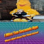 Cursed Big Bird from Sesame Street | image tagged in i miss ten seconds ago,big bird,sesame street,funny,cursed image,memes | made w/ Imgflip meme maker