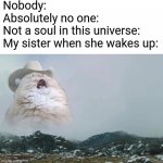 like bruh | Nobody:
Absolutely no one:
Not a soul in this universe:
My sister when she wakes up: | image tagged in screaming cowboy cat | made w/ Imgflip meme maker