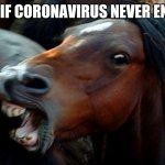 Me if corona never ends | ME IF CORONAVIRUS NEVER ENDS | image tagged in angry horse | made w/ Imgflip meme maker