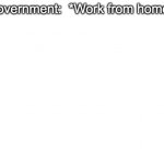 Government:  work from home
