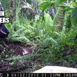 Jaguar stalks person | THE MAIN CHARACTERS; THE MONSTER | image tagged in jaguar stalks person | made w/ Imgflip meme maker