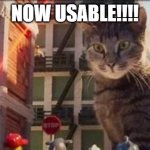 YOU CAN USE IT!!! | NOW USABLE!!!! | image tagged in og catattck | made w/ Imgflip meme maker