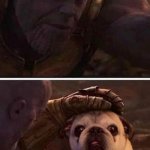 thanos pug | THANOS: SO CUTE; PUG: WHAT ARE YOU | image tagged in thanos pug | made w/ Imgflip meme maker