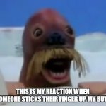 Walrus | THIS IS MY REACTION WHEN SOMEONE STICKS THEIR FINGER UP MY BUTT | image tagged in walrus | made w/ Imgflip meme maker