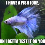 Fish Joke Betta Test | I HAVE A FISH JOKE, CAN I BETTA TEST IT ON YOU? | image tagged in angry betta | made w/ Imgflip meme maker
