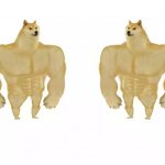 Buff Doge vs Buff Doge meme