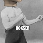 Meme man boxser