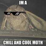 cool and chill moth | IM A; CHILL AND COOL MOTH | image tagged in moth lamp | made w/ Imgflip meme maker