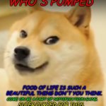 Doge is Quang Tran | WHO'S PUMPED; FOOD OF LIFE IS SUCH A BEAUTIFUL THING DON'T YOU THINK. SUPER PUMPED FOR THIS. COME ON BE A PART OF NOTIFICATION GANG. | image tagged in doge | made w/ Imgflip meme maker