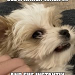 Side eye dog | WHENEVER YOU SEE A KAREN WALK IN; AND SHE INSTANTLY LOOKS FOR THE MANAGER | image tagged in side eye dog | made w/ Imgflip meme maker