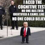 Trump moca ace