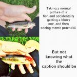 I made this template. Now what? | Taking a normal picture of a fish and accidentally getting a blurry one, and then seeing meme potential. But not knowing what the caption should be | image tagged in angery fish,memes,fish | made w/ Imgflip meme maker