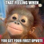 Get your first  upvote | THAT FEELING WHEN; YOU GET YOUR FIRST UPVOTE | image tagged in smiling monkey,upvote | made w/ Imgflip meme maker