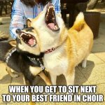 Friends Sing Together | WHEN YOU GET TO SIT NEXT TO YOUR BEST FRIEND IN CHOIR | image tagged in singing doggos | made w/ Imgflip meme maker