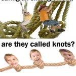 Are Kids During Entanglements Called Knots | image tagged in are kids during entanglements called knots | made w/ Imgflip meme maker