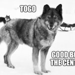 Togo! | TOGO; GOOD BOY OF THE CENTURY! | image tagged in togo,good boy,saviour of children,chaser of caribou | made w/ Imgflip meme maker