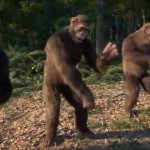 Dancing monkeys GIF Template
