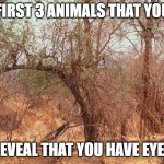 Wow! I saw three of them right away! | THE FIRST 3 ANIMALS THAT YOU SEE; REVEAL THAT YOU HAVE EYES | image tagged in first three animals you see,facebook quiz,personality test | made w/ Imgflip meme maker