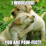 Puppy Love | I WOOF YOU! YOU ARE PAW-FECT! | image tagged in puppy i love bro | made w/ Imgflip meme maker