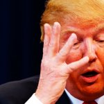 Trump meltdown with hands meme