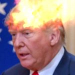 Trump Hair on Fire GIF Template