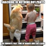 MIDNIGHT SNACK | SNACKING IN NOTHING BUT PANTS; THE FAVORITE PAST TIME OF BABIES AND CATS ALIKE | image tagged in midnight snack | made w/ Imgflip meme maker