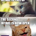 Sad Happy Cat | THE FIRST INTAKE IS FULL UP; THE SECOND INTAKE IS NOW OPEN | image tagged in sad happy cat | made w/ Imgflip meme maker