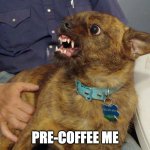 Pre-Coffee Me | PRE-COFFEE ME | image tagged in no coffee | made w/ Imgflip meme maker